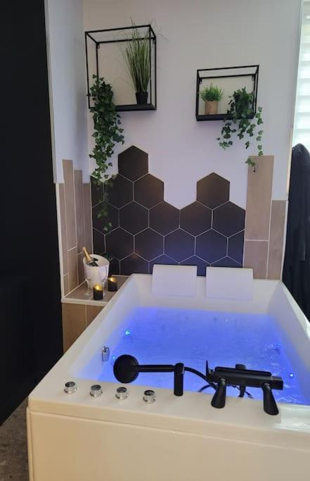 אנז'ה Love Room, La Douce Angevine מראה חיצוני תמונה